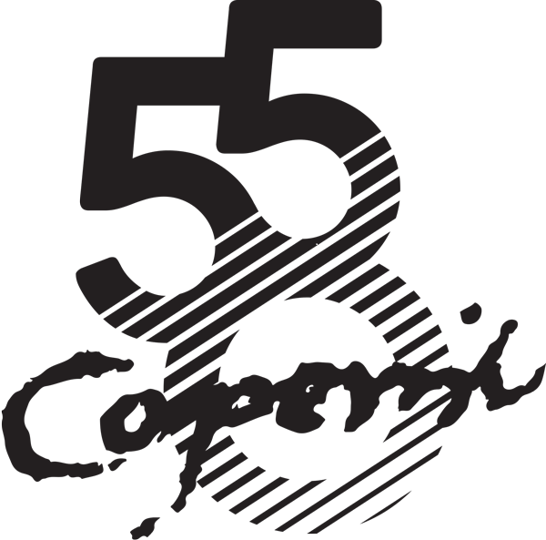 Logotyp Kopernik