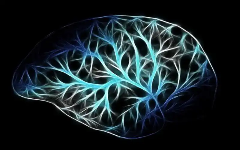 neurony wizualizacja mózgu