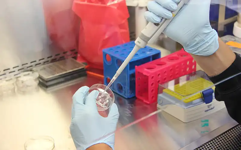 probówki i prace w laboratorium